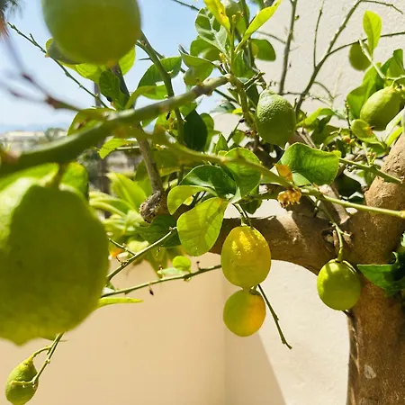 Appartement Stayatsas Marbella Luxury 2 Bedroom Apartment, 80 M2 Private Terrace, Pools, Walk To Beach & Puerto Banus